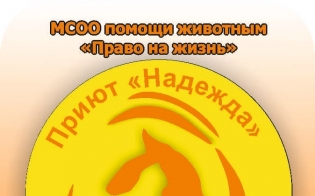 Победители второго конкурса Фонда президентских грантов