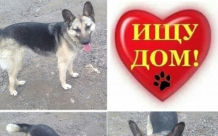 Эльза верит в чудо...