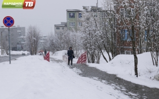 Летний снег