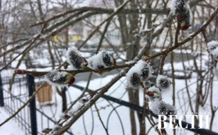 Прогноз погоды на 5 мая