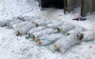 Поймали на горячем