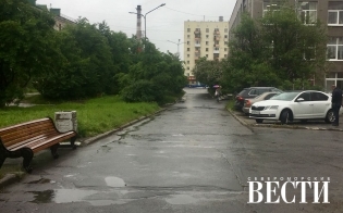 Прогноз погоды на 7 августа