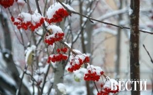 Прогноз погоды на 12 февраля