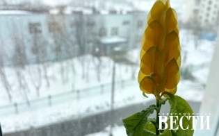Прогноз погода на 4 мая
