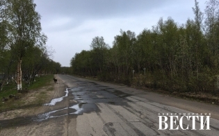 Прогноз погоды на 2 июня