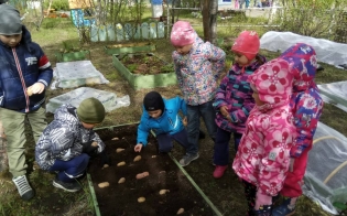 На поиски урожайных сокровищ