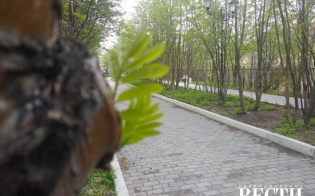 Прогноз погоды на 10 июня