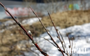 Прогноз погоды на 7 мая