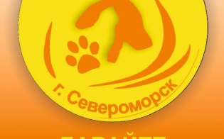 Приюту для животных "Надежда" нужен новый руководитель