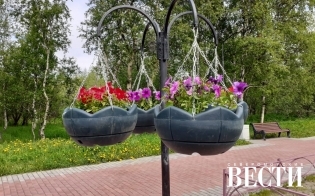 Прогноз погоды на 20 июня