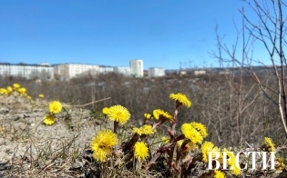 Прогноз погоды на 23 мая