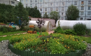 Лучшие садоводы-огородники в д/с №10