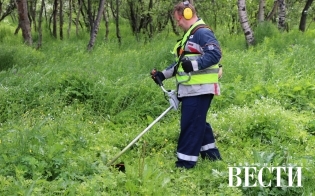 Газонокосилки в помощь