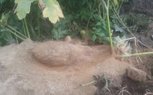 Бомба во дворе