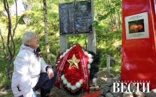 Санина земля