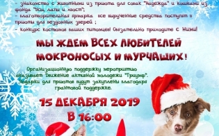 «Новый год – дома!»