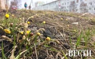 Прогноз погоды на 28 апреля