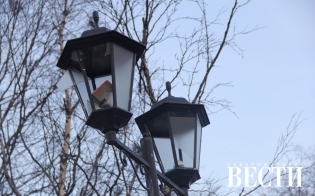Улица разбитых фонарей