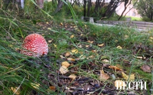 Прогноз погоды на 30 сентября