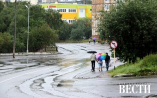 Сводка происшествий от ГИБДД
