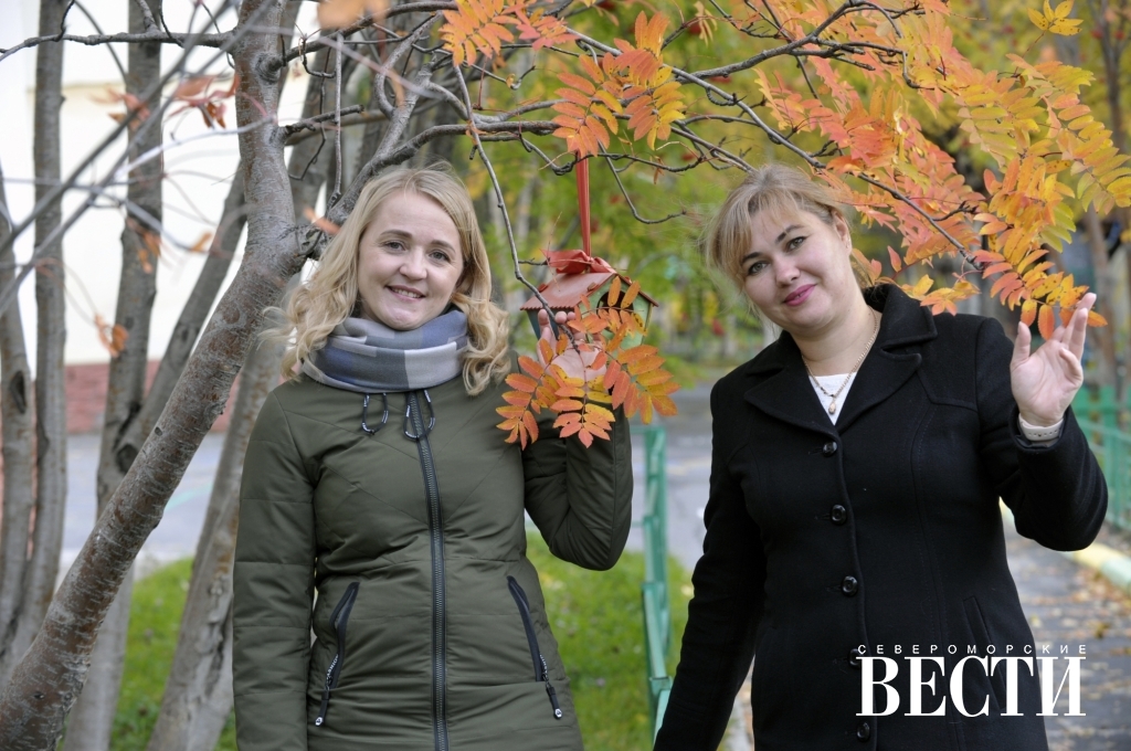 Североморские вести газета свежий номер