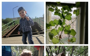 "��� ���� �� ������": ���� �������