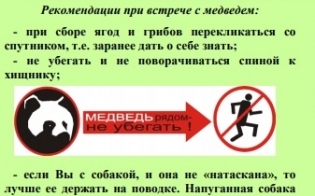 ������ �������������