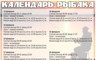 ��������� ������ 