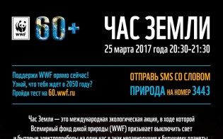 ������� ���� - �������� �������