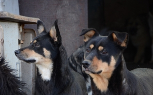 ���� � ����