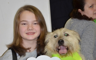 ��������� ����