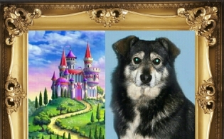 ������ ���� �����