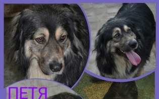 �� ���� ���� � ������