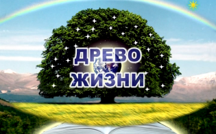 � ������ �������� - �����