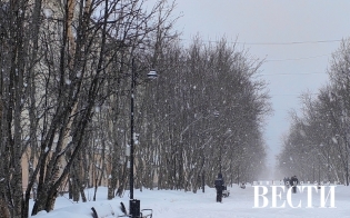 ������� ������ �� 17 �����