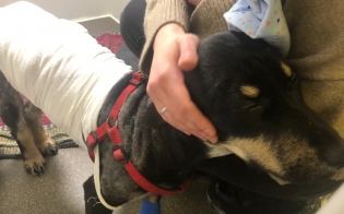 �� ����� ����������� ���������� ��������� ����