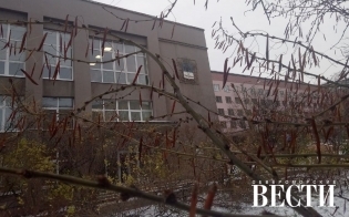 ������� ������ �� 24 �������