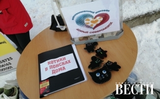 ������� ������ ��� ���������