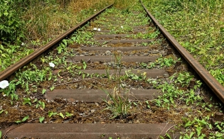 ������ ������������. ����� 1