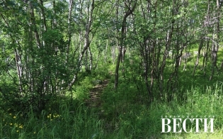 ������ ��������