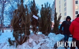 ������ ����� ������� ����