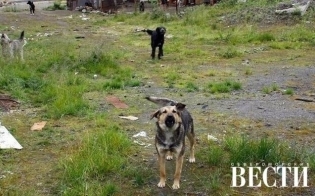 ������� ������ ��� ��������� � ������������ ��������