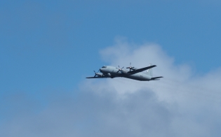 ���������� � ����