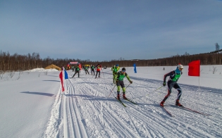 ������ ������������ ������ ��������