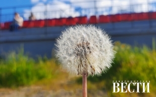 ������� ������ �� 1 ����