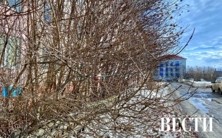 ������� ������ �� 24 �����