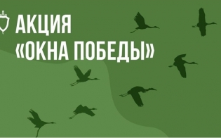 ������������� �������������� ����� "���� ������"