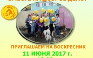 ������ ����: �� ���������� � �����!
