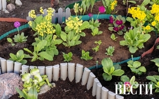 ������� ������ �� 1 ����