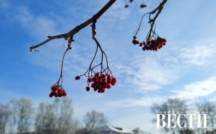 ������� ������ �� 6 ������